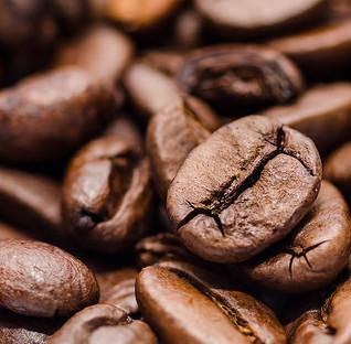 Kenya AB Plus - 14oz